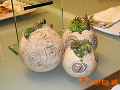 Bild 200