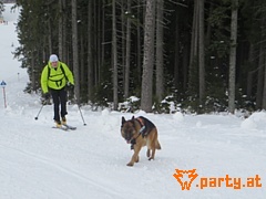 Bild 18