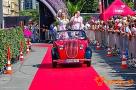Bild 51