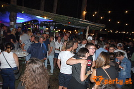 Bild 81