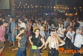 Bild 115