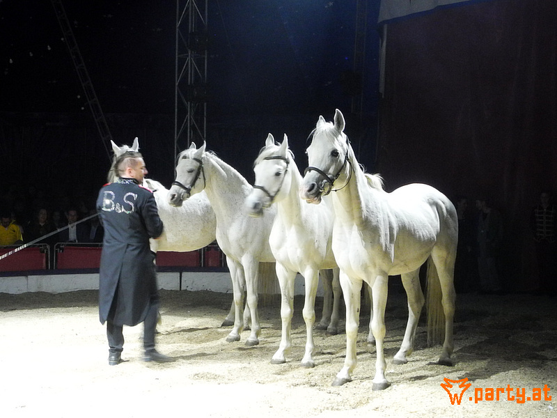 Bild 28