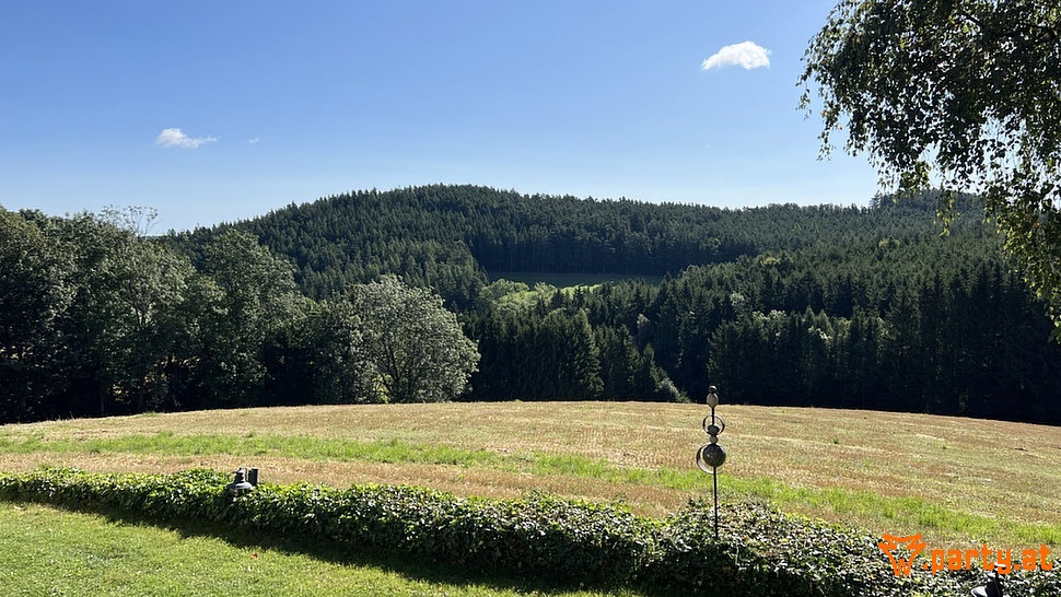 Bild 96