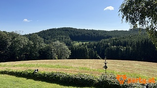 Bild 96